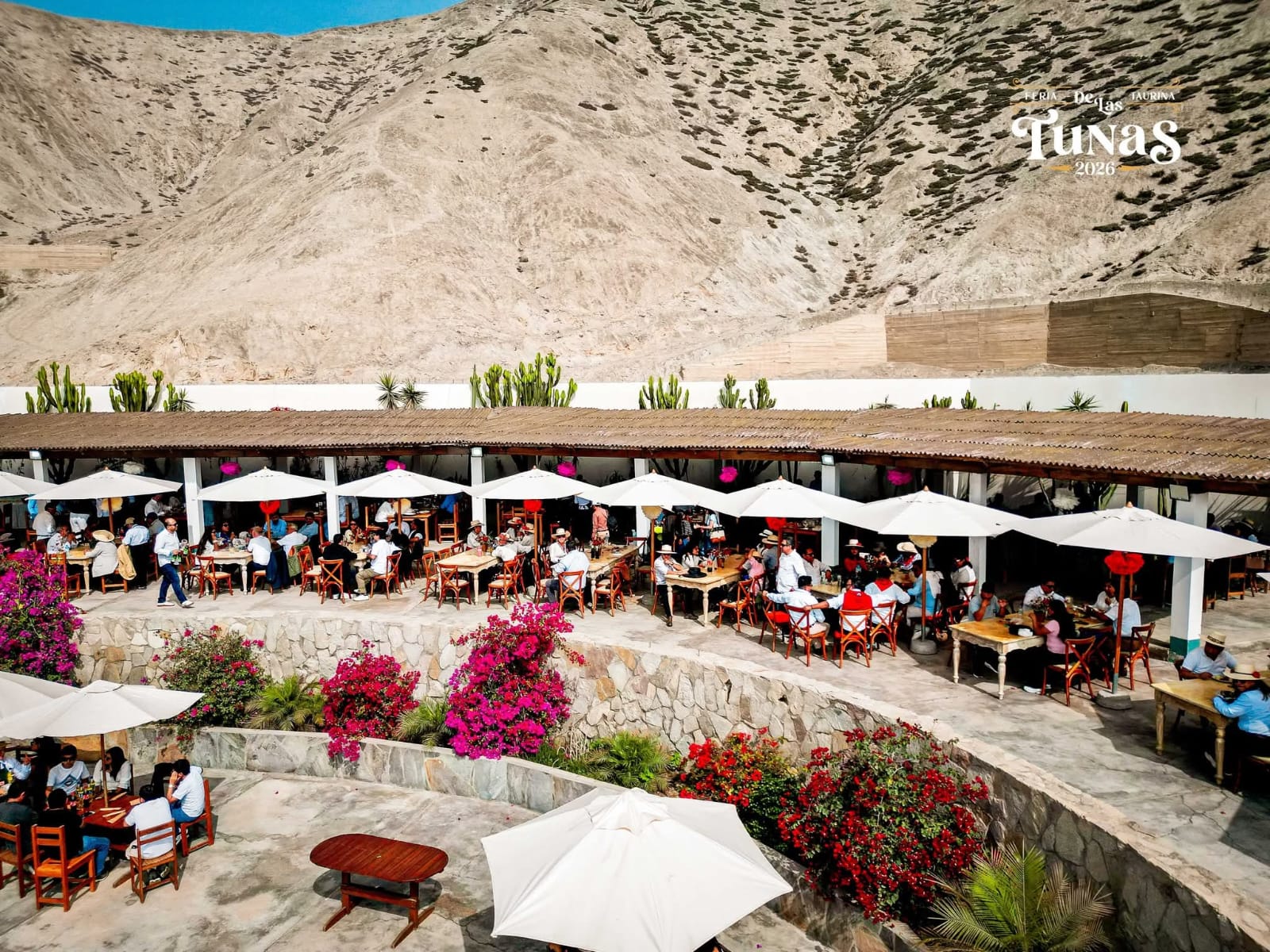 Patios Coloniales & Jardines